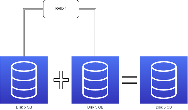 raid1